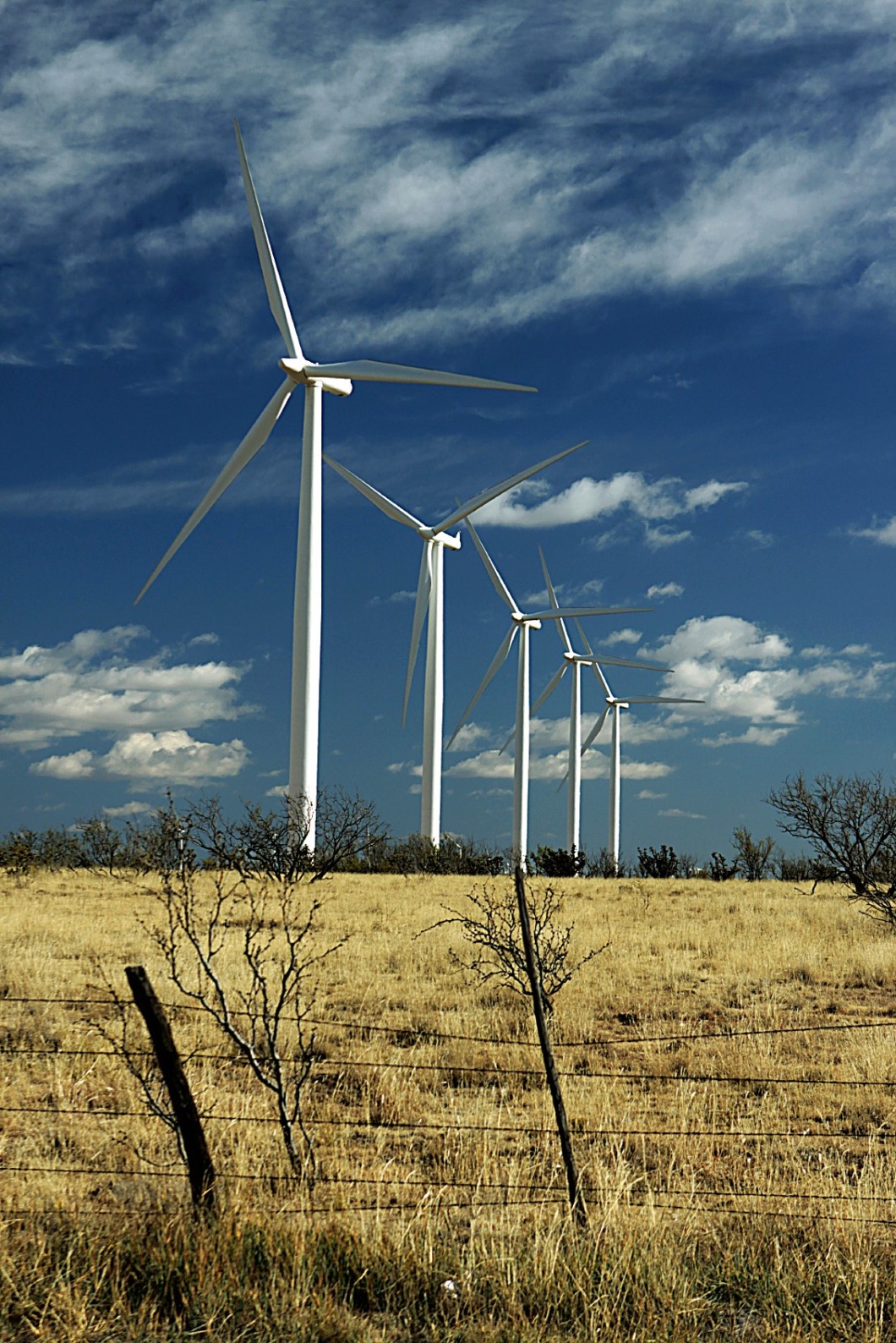 Vindkraften slår rekord – och passerar 20 TWh