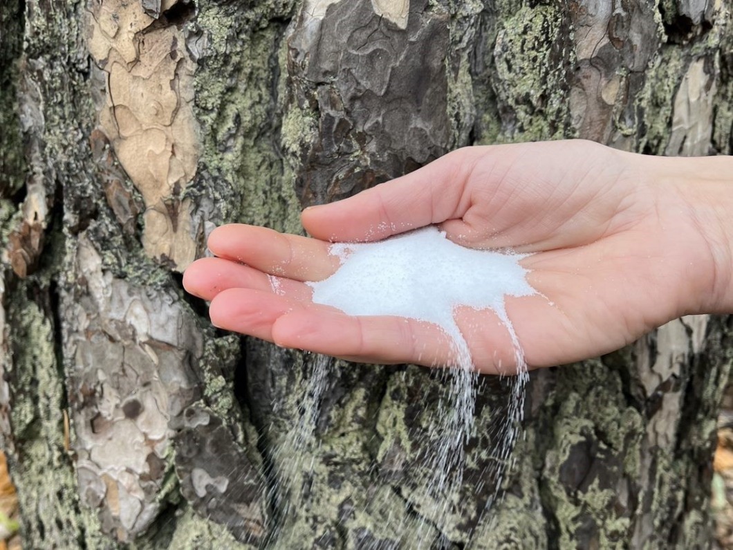 Koksalt kan vara lösningen för framtidens energilagring